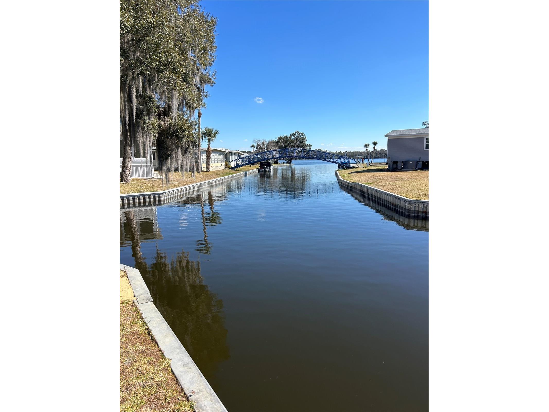 40 Sabal Palm Circle Eustis FL 32726 G5107800 image12