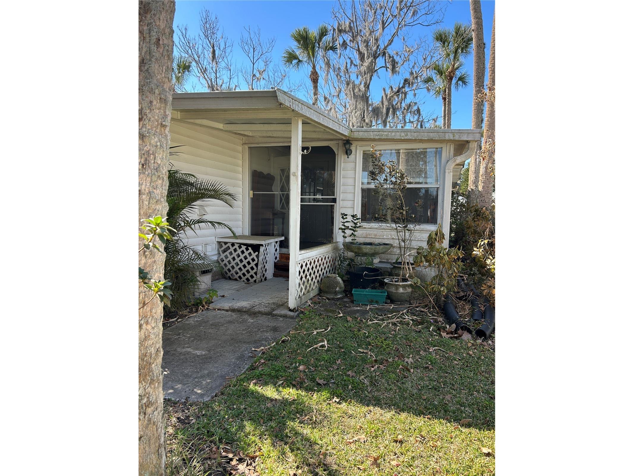 40 Sabal Palm Circle Eustis FL 32726 G5107800 image4