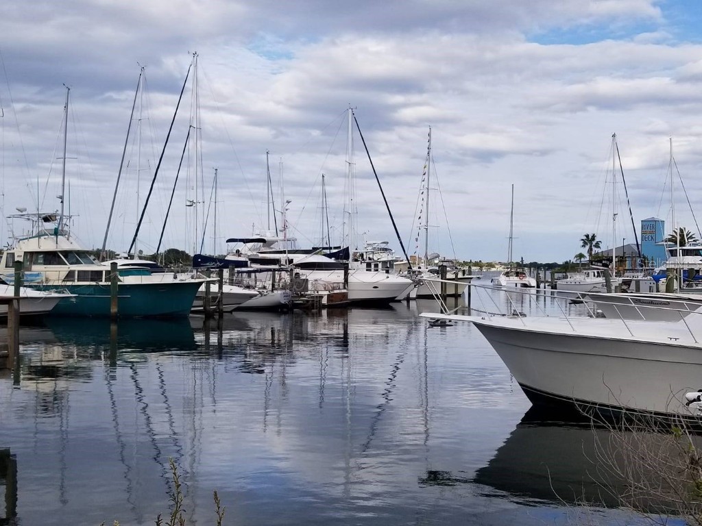 40 Sandra Circle New Smyrna Beach FL 32168 NS1083265 image31