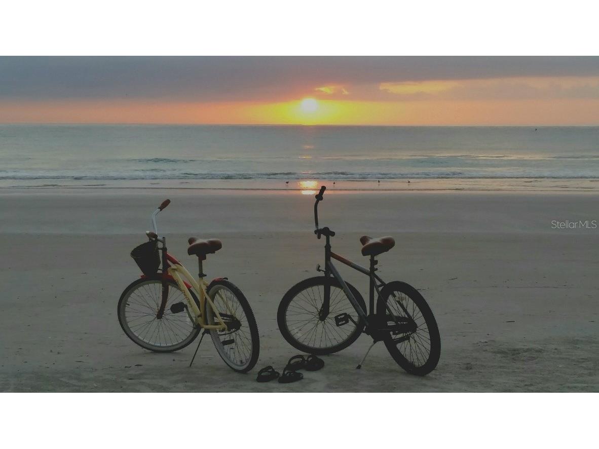 40 Sandra Circle New Smyrna Beach FL 32168 NS1083265 image38