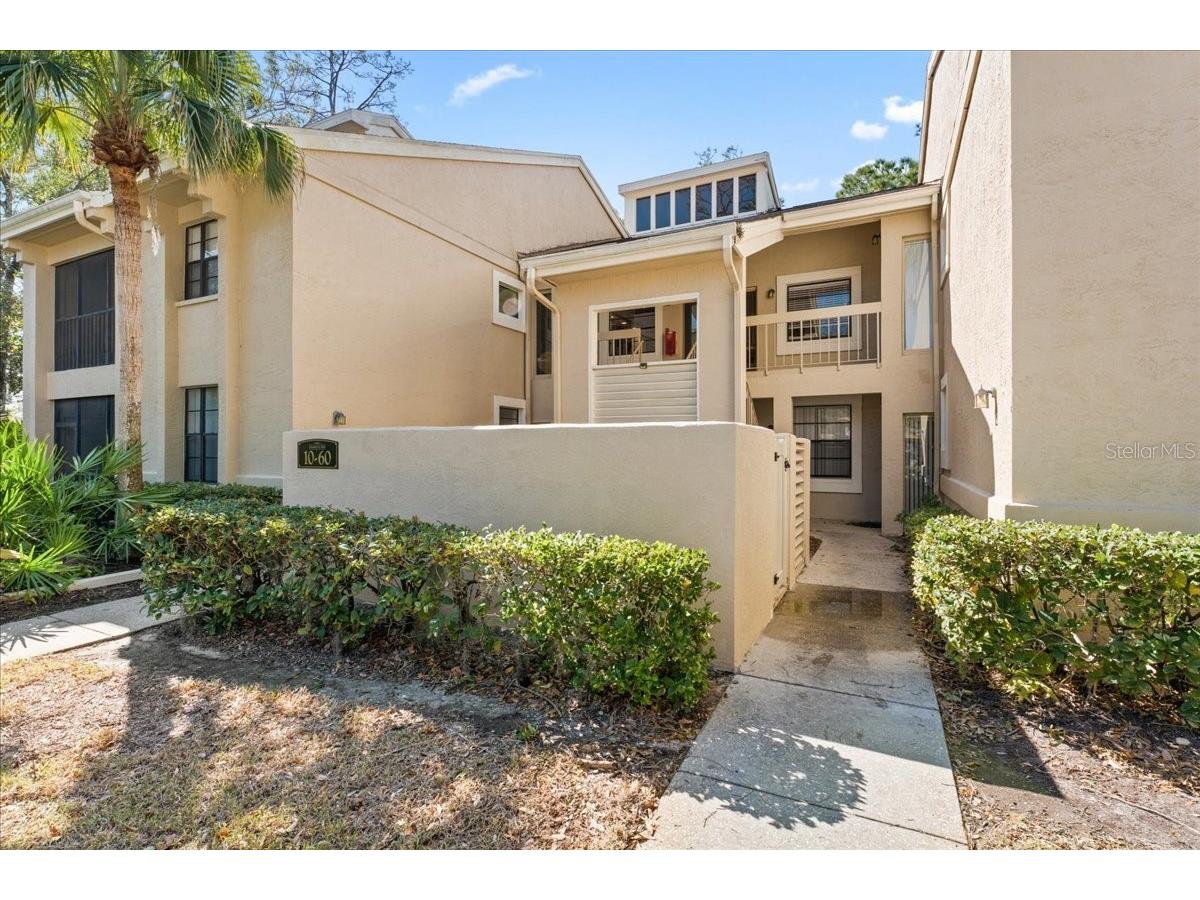40 Shamrock Way #40 Oldsmar FL 34677 TB8471405 image1