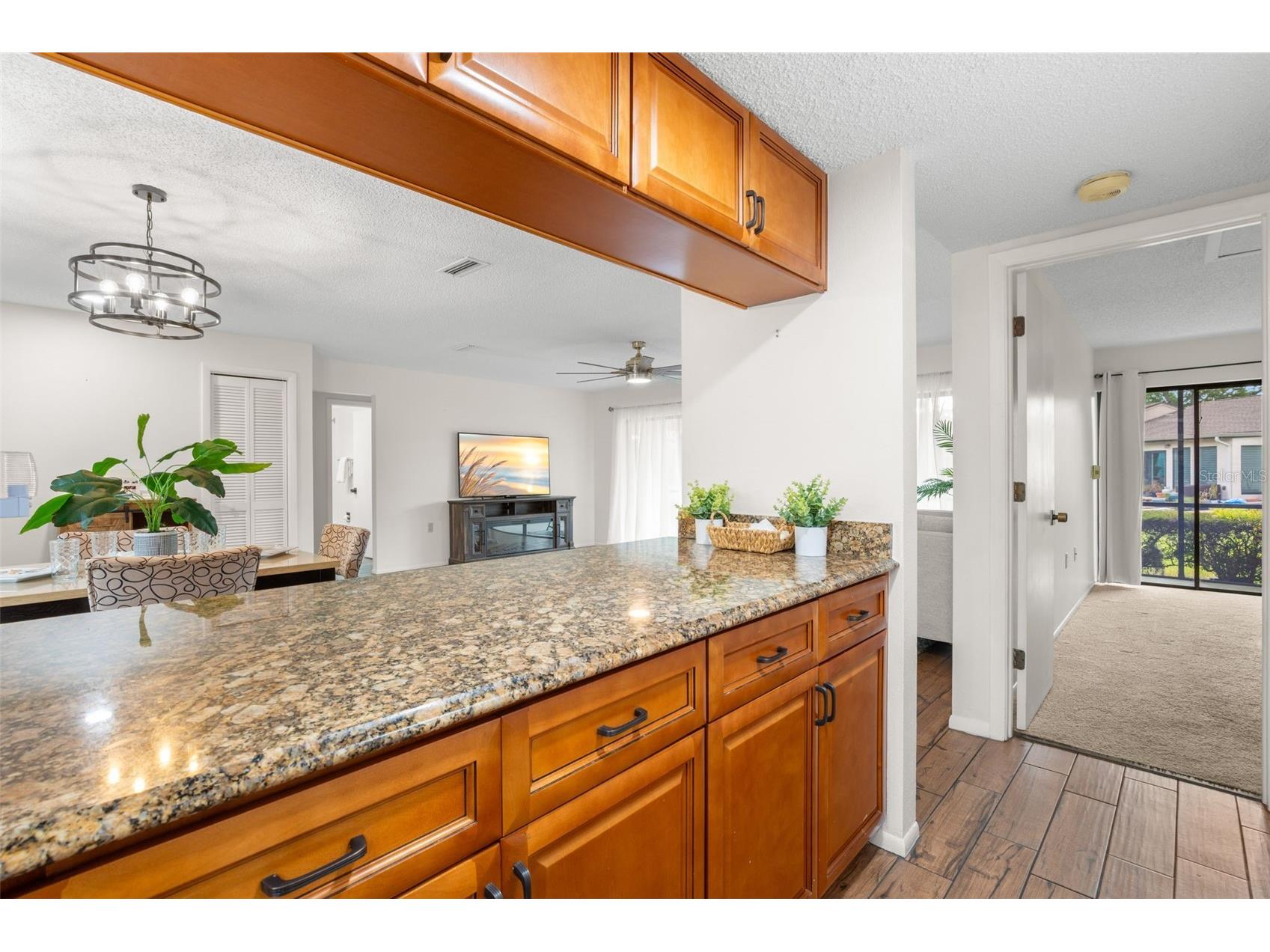 40 Sylvia Place Oldsmar FL 34677 TB8487410 image16