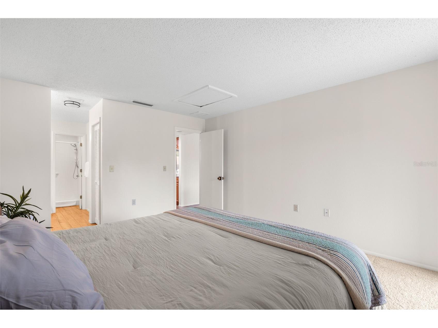 40 Sylvia Place Oldsmar FL 34677 TB8487410 image19