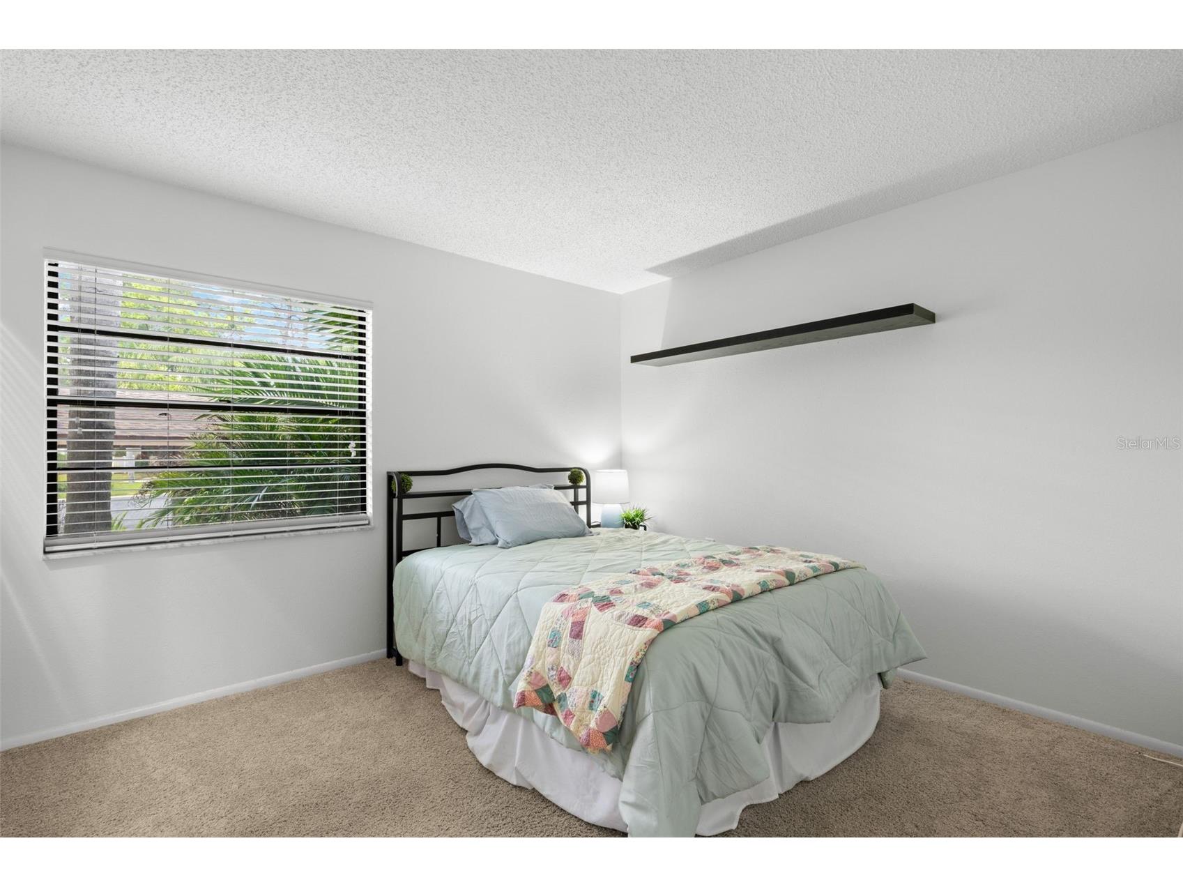 40 Sylvia Place Oldsmar FL 34677 TB8487410 image29