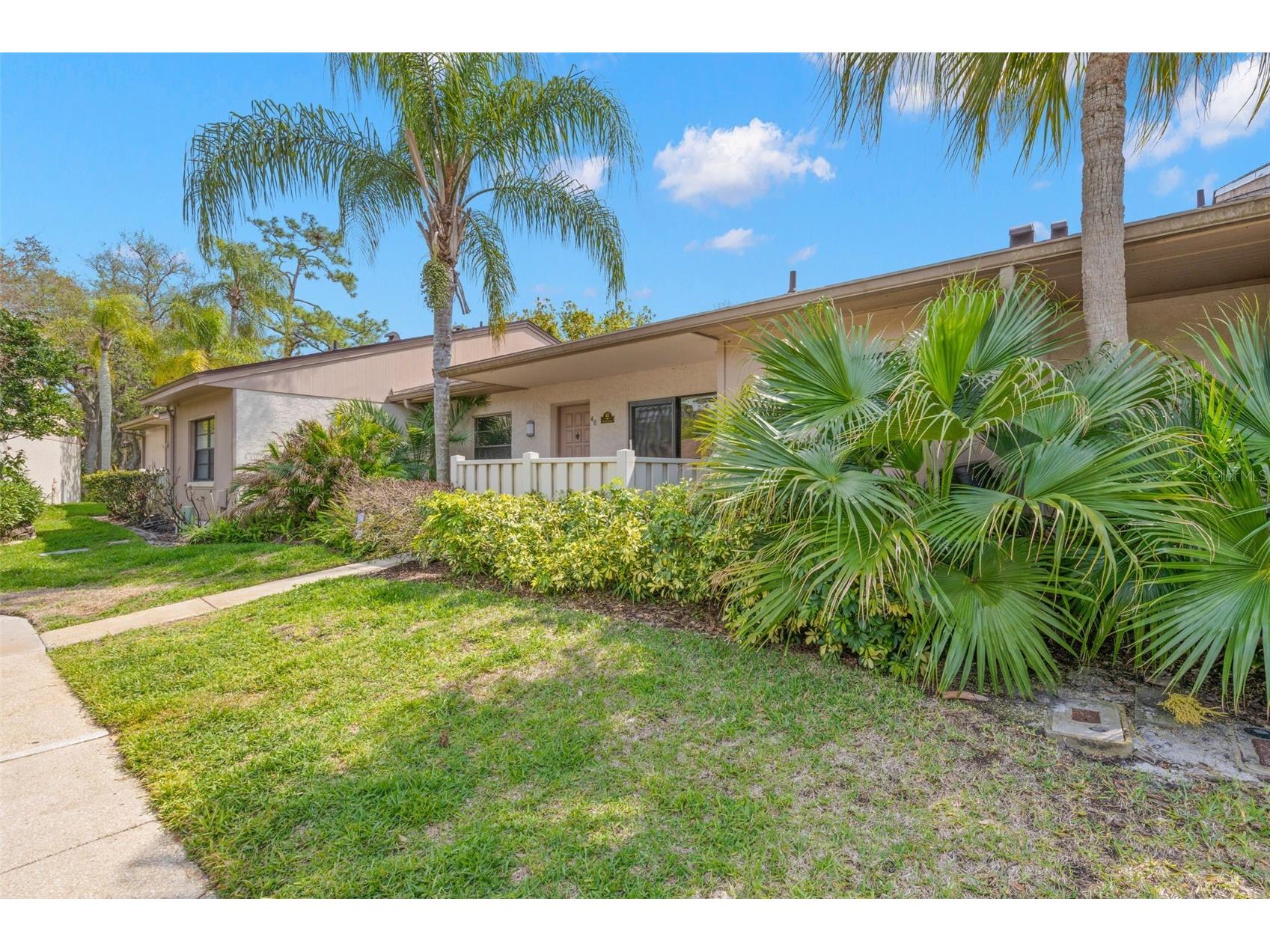 40 Sylvia Place Oldsmar FL 34677 TB8487410 image3