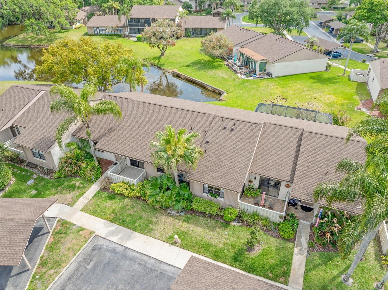 40 Sylvia Place Oldsmar FL 34677 TB8487410 image33