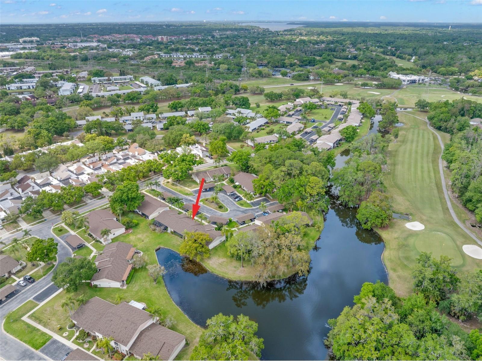 40 Sylvia Place Oldsmar FL 34677 TB8487410 image37