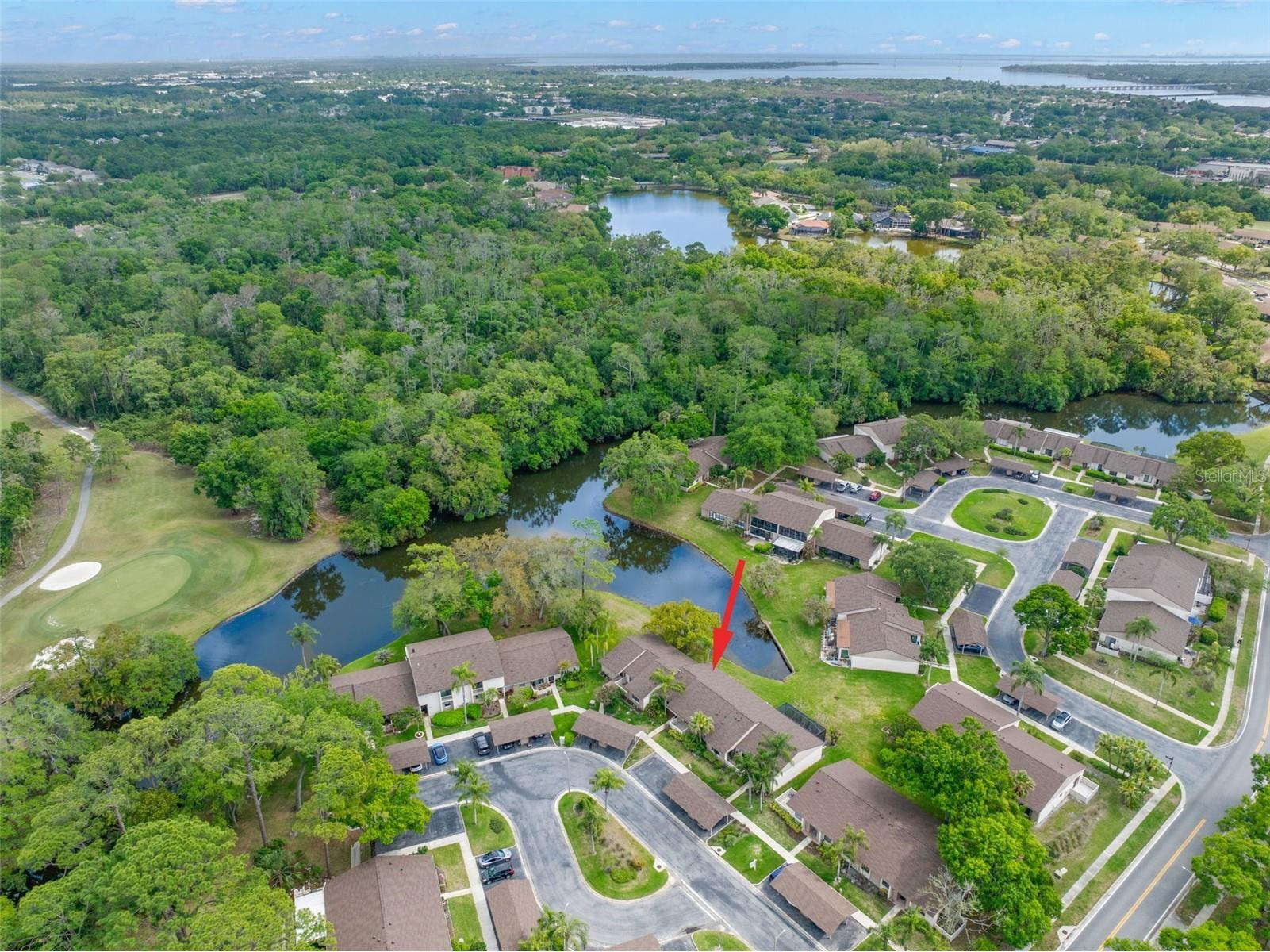 40 Sylvia Place Oldsmar FL 34677 TB8487410 image38