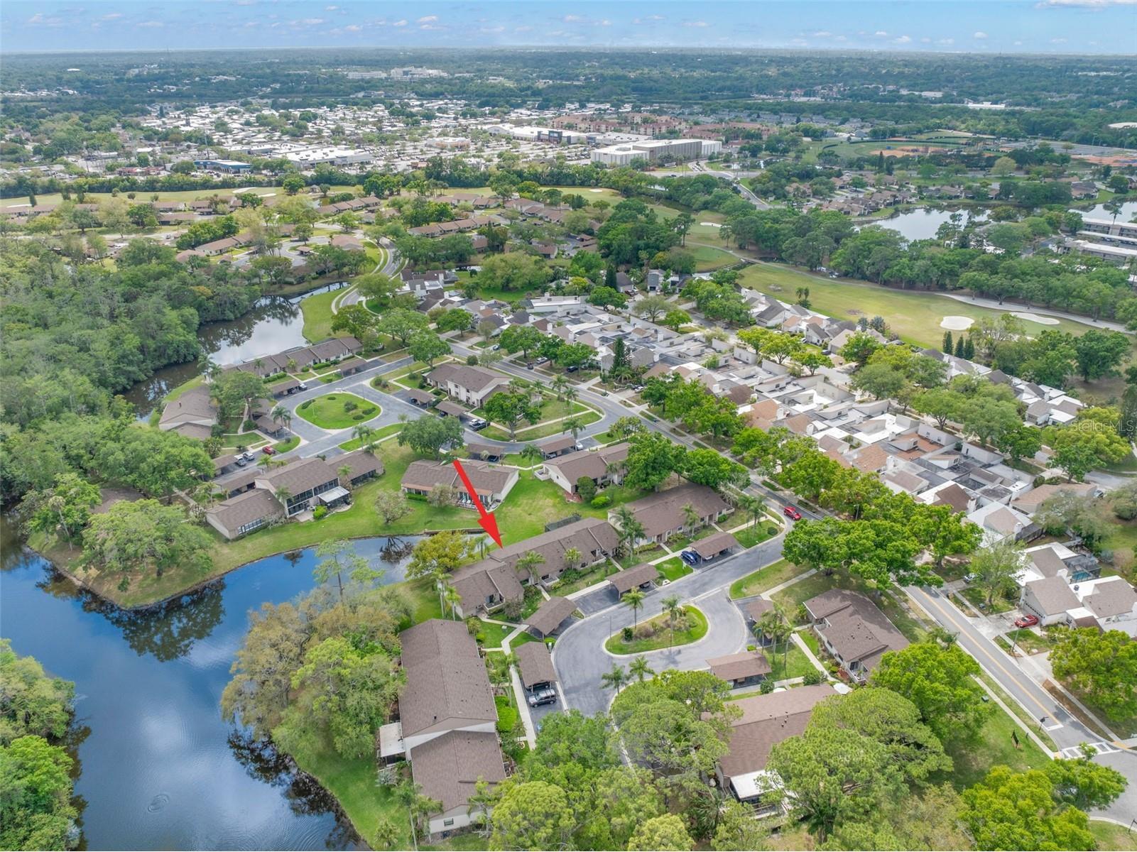 40 Sylvia Place Oldsmar FL 34677 TB8487410 image39