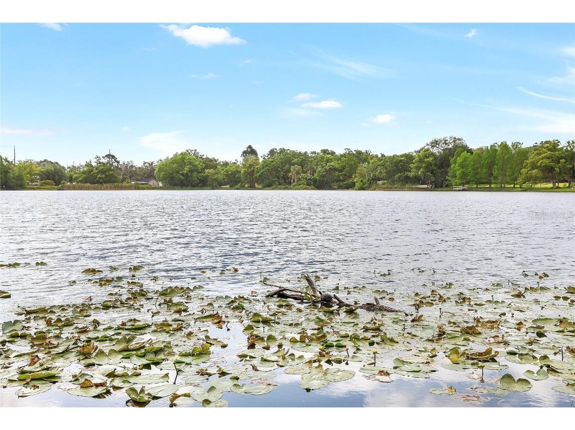 40 W Laurel Street Apopka FL 32703 - DREAM LAKE O6358906 image56