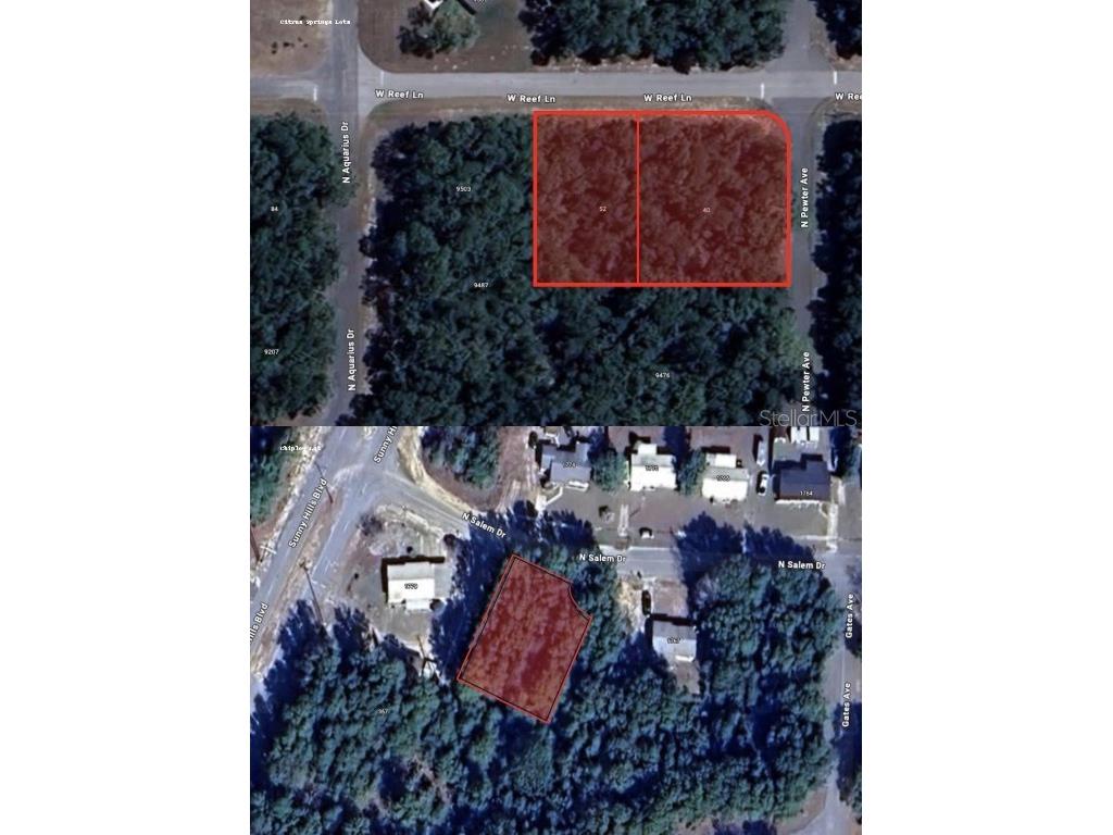 40 W Reef Lane Citrus Springs FL 34434 OM709131 image1