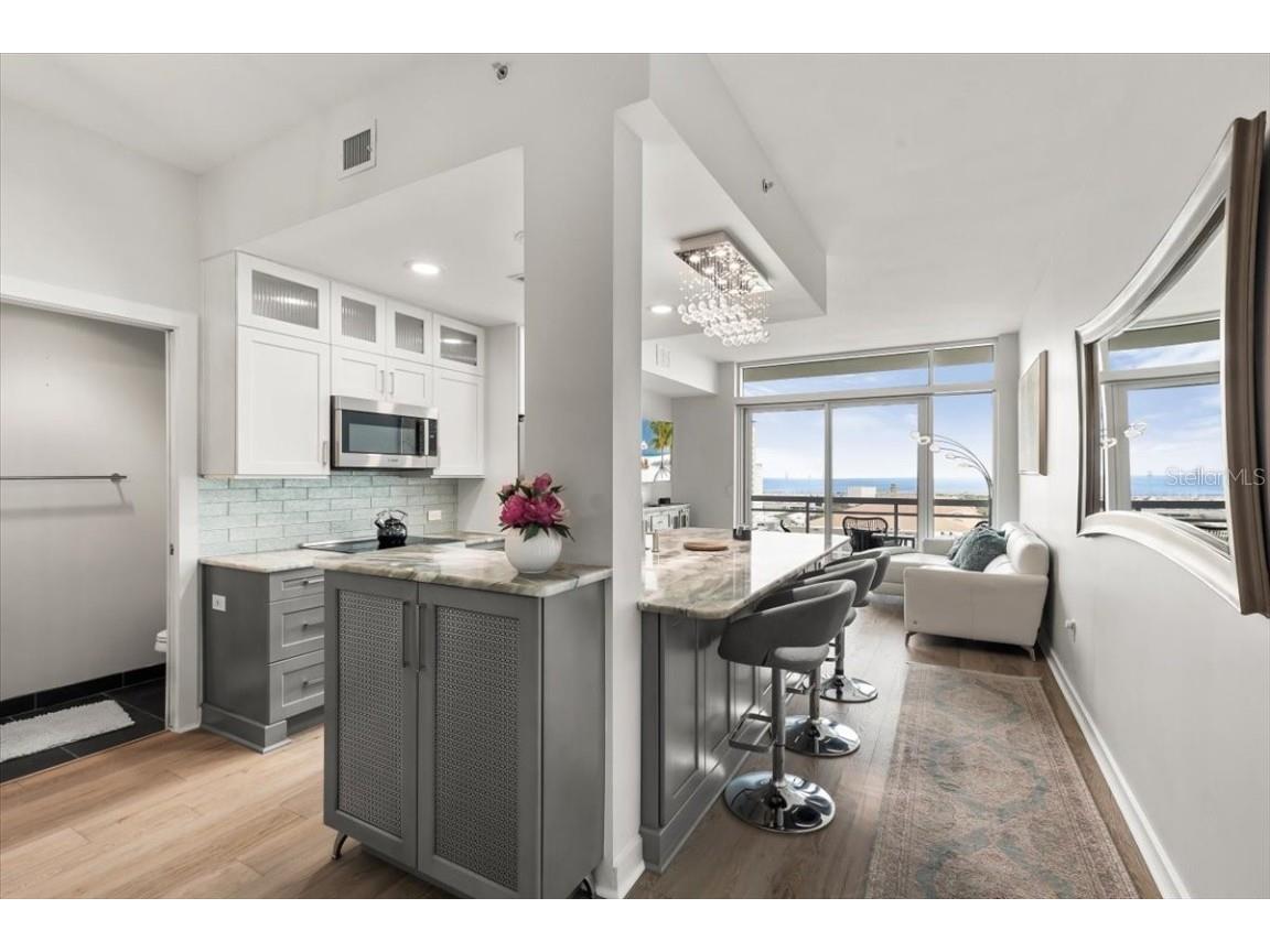 400 4th Avenue S #1008 Saint Petersburg FL 33701 - SAINT PETERSBURG BEACH TB8454833 image7