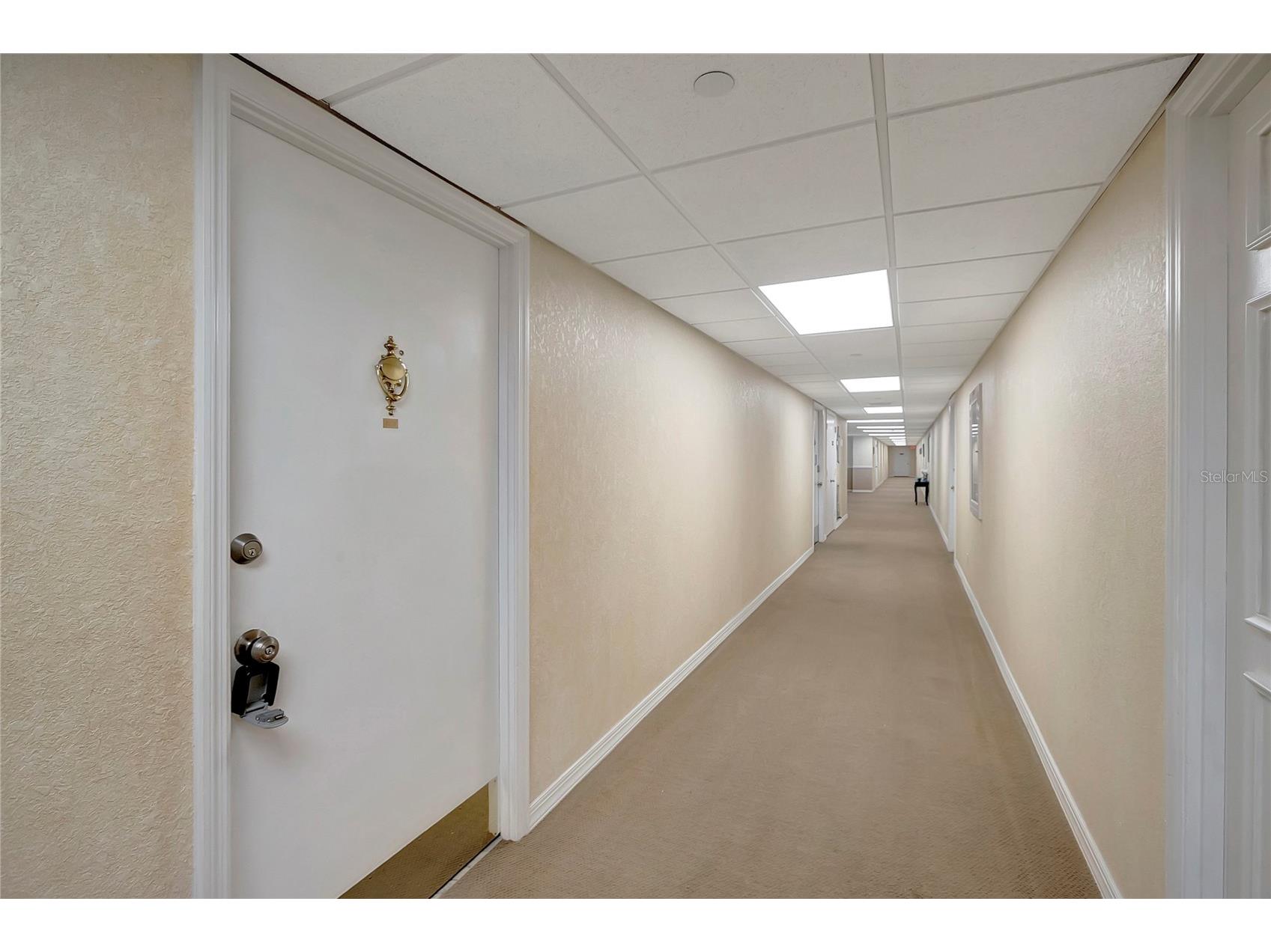 400 64th Avenue #202 Saint Pete Beach FL 33706 TB8498483 image42
