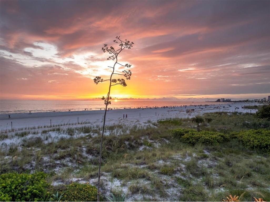 400 64th Avenue #601 Saint Pete Beach FL 33706 TB8433377 image20