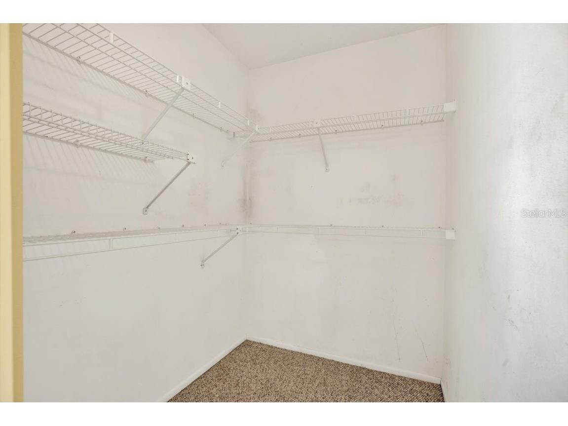 400 Arlington Avenue E Oldsmar FL 34677 TB8410945 image40