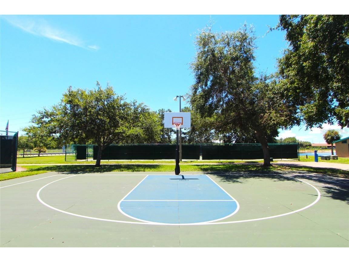 400 Arlington Avenue E Oldsmar FL 34677 TB8410945 image59