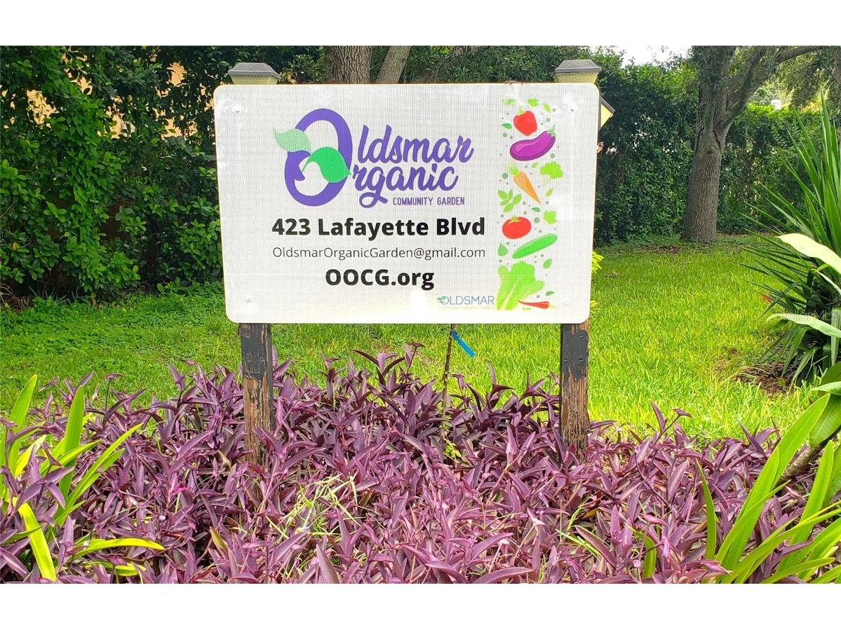 400 Arlington Avenue E Oldsmar FL 34677 TB8410945 image60