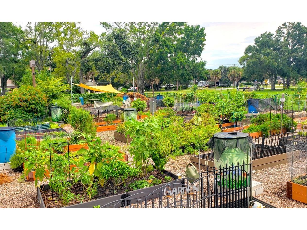 400 Arlington Avenue E Oldsmar FL 34677 TB8410945 image61