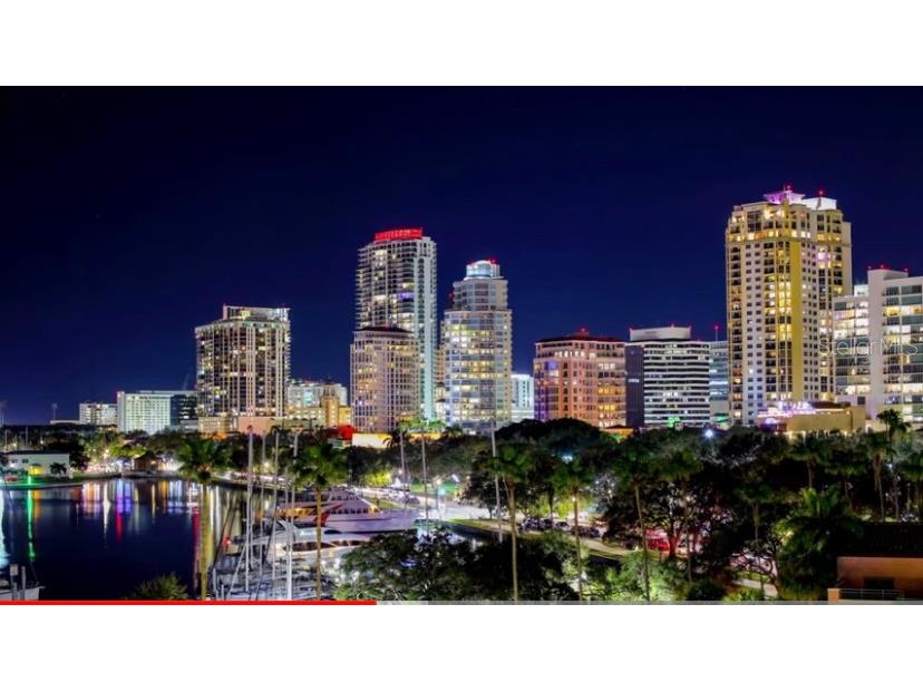 400 Beach Drive NE #1702 Saint Petersburg FL 33701 TB8509002 image24