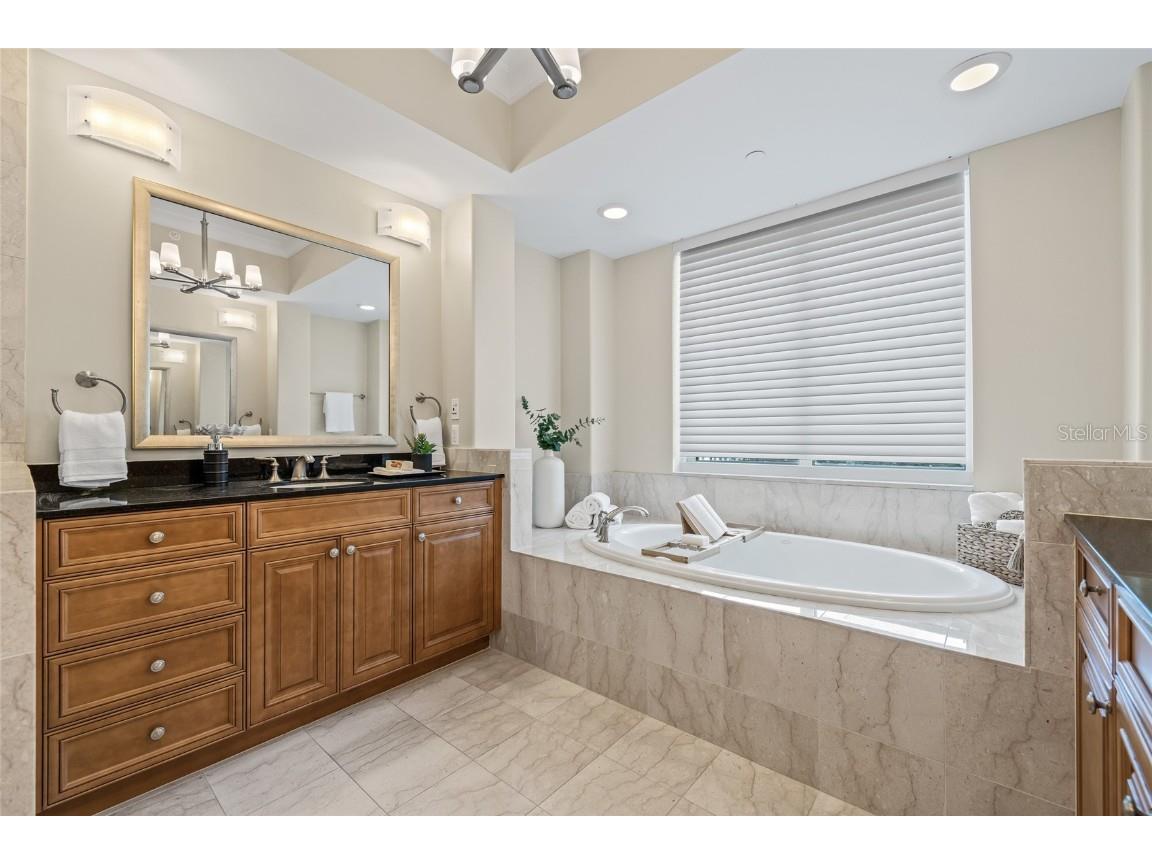 400 Beach Drive NE #2301 Saint Petersburg FL 33701 TB8403416 image18