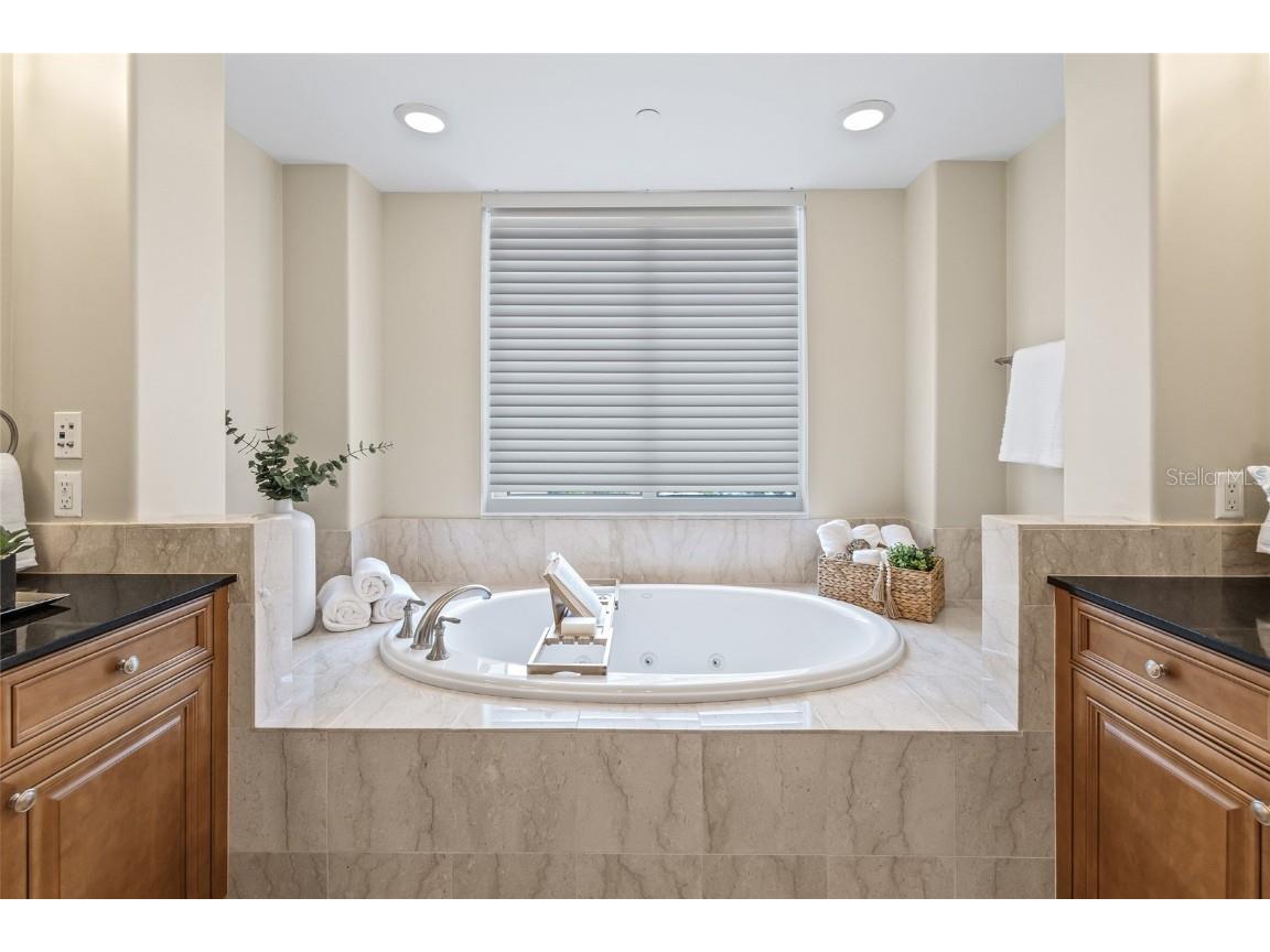 400 Beach Drive NE #2301 Saint Petersburg FL 33701 TB8403416 image19