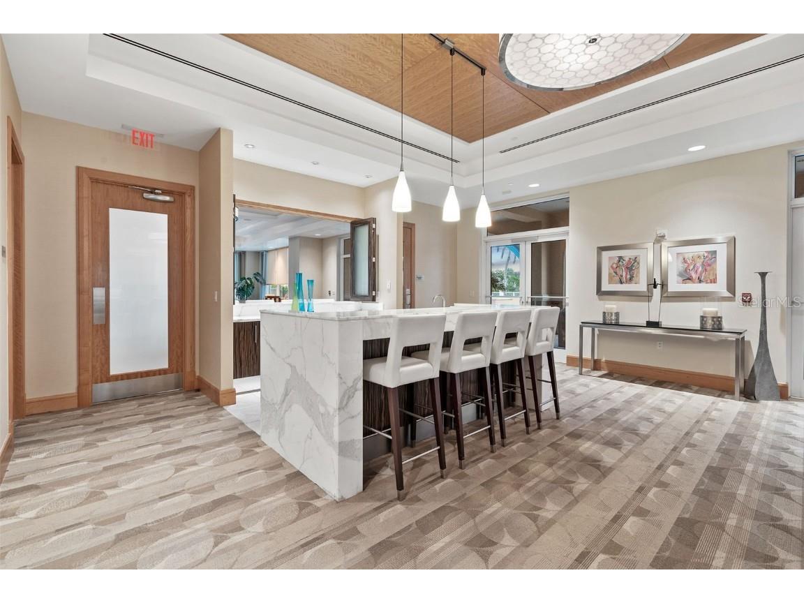 400 Beach Drive NE #2301 Saint Petersburg FL 33701 TB8403416 image32