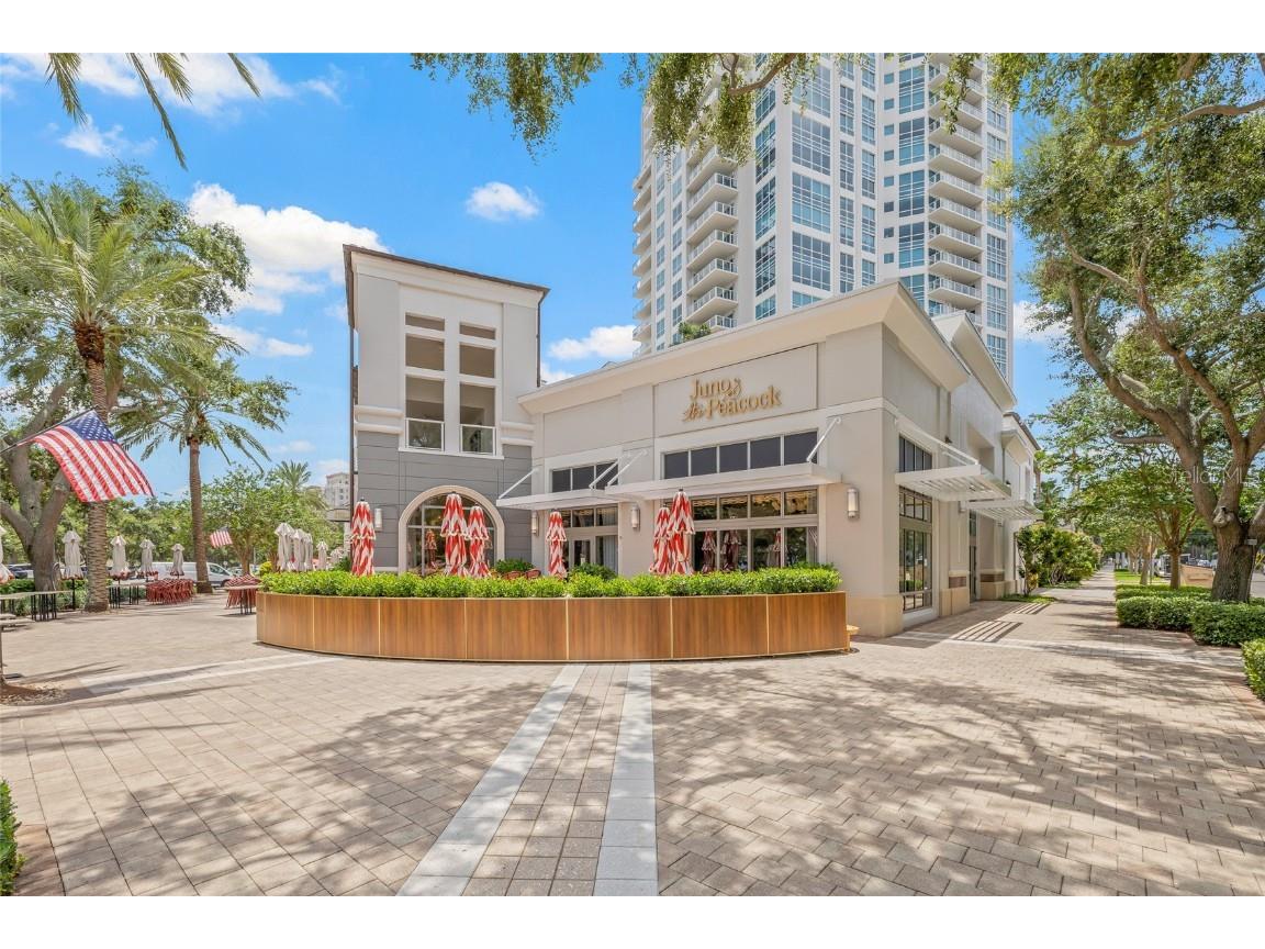 400 Beach Drive NE #2301 Saint Petersburg FL 33701 TB8403416 image39