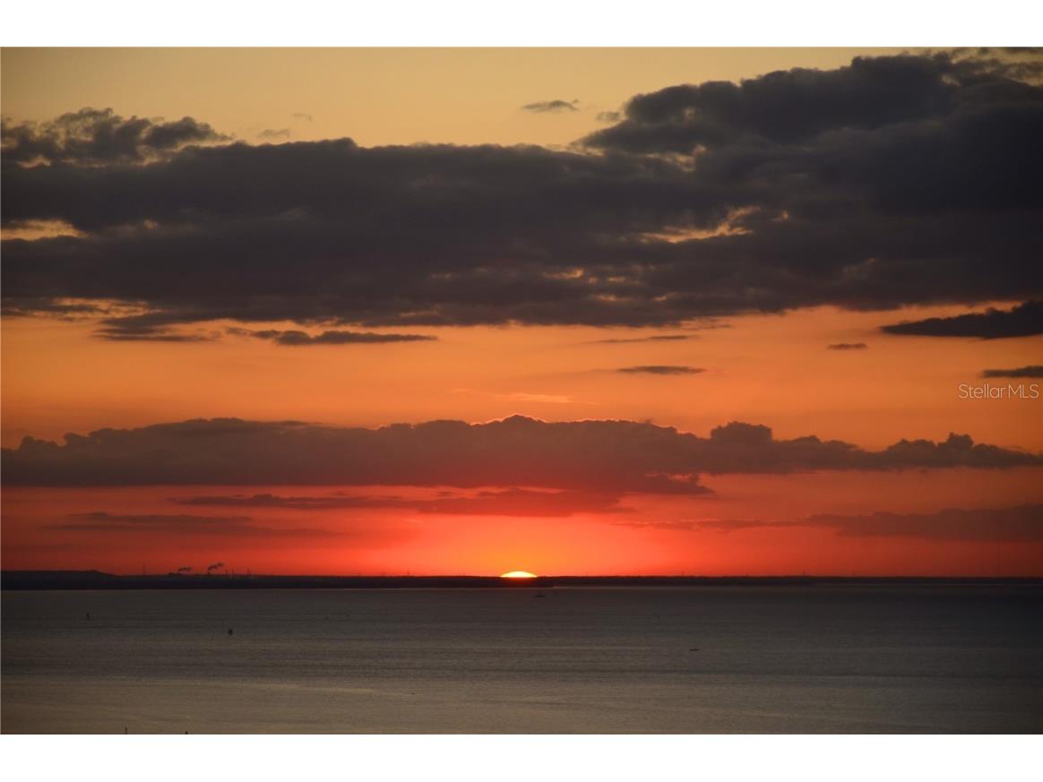 400 Beach Drive NE #2301 Saint Petersburg FL 33701 TB8403416 image42