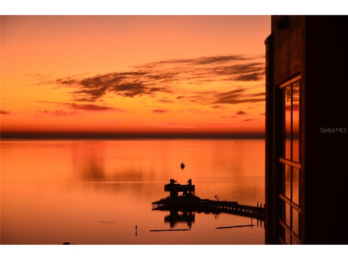 400 Beach Drive NE #2301 Saint Petersburg FL 33701 TB8403416 image43