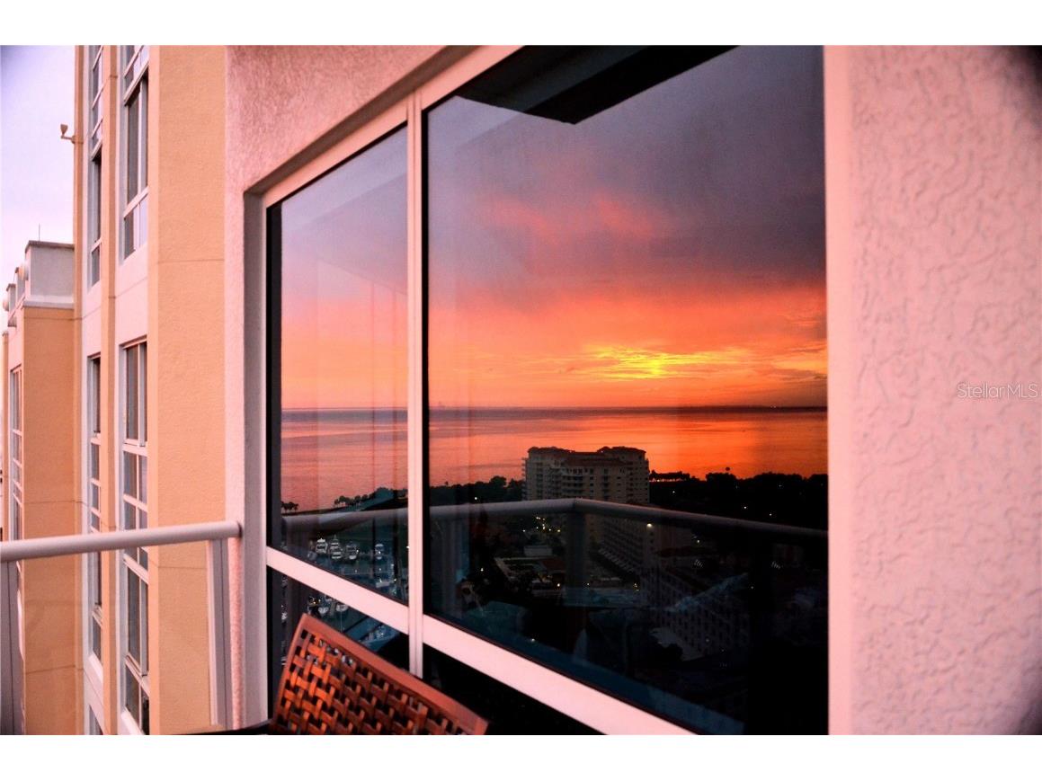 400 Beach Drive NE #2301 Saint Petersburg FL 33701 TB8403416 image45