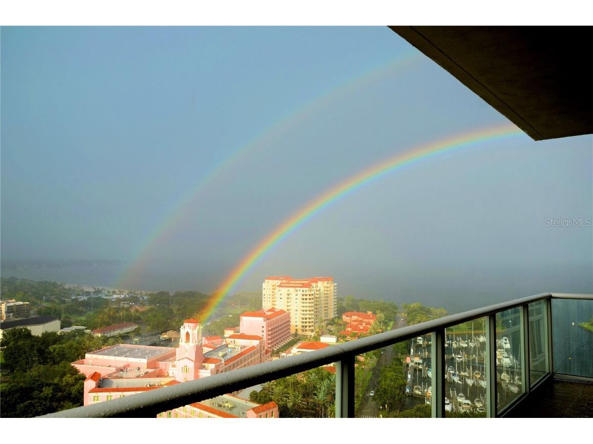 400 Beach Drive NE #2301 Saint Petersburg FL 33701 TB8403416 image46