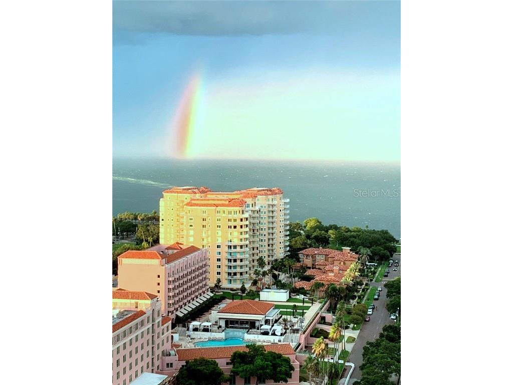 400 Beach Drive NE #2301 Saint Petersburg FL 33701 TB8403416 image47