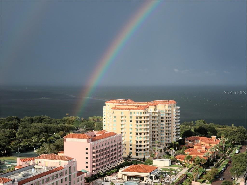 400 Beach Drive NE #2301 Saint Petersburg FL 33701 TB8403416 image48