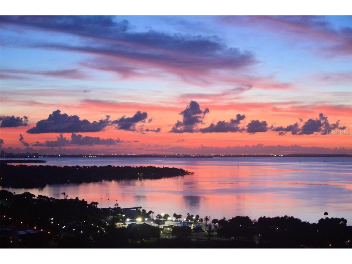 400 Beach Drive NE #2301 Saint Petersburg FL 33701 TB8403416 image54