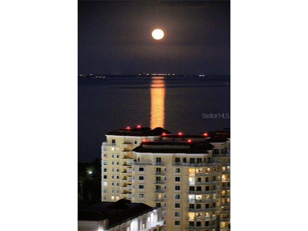 400 Beach Drive NE #2301 Saint Petersburg FL 33701 TB8403416 image56