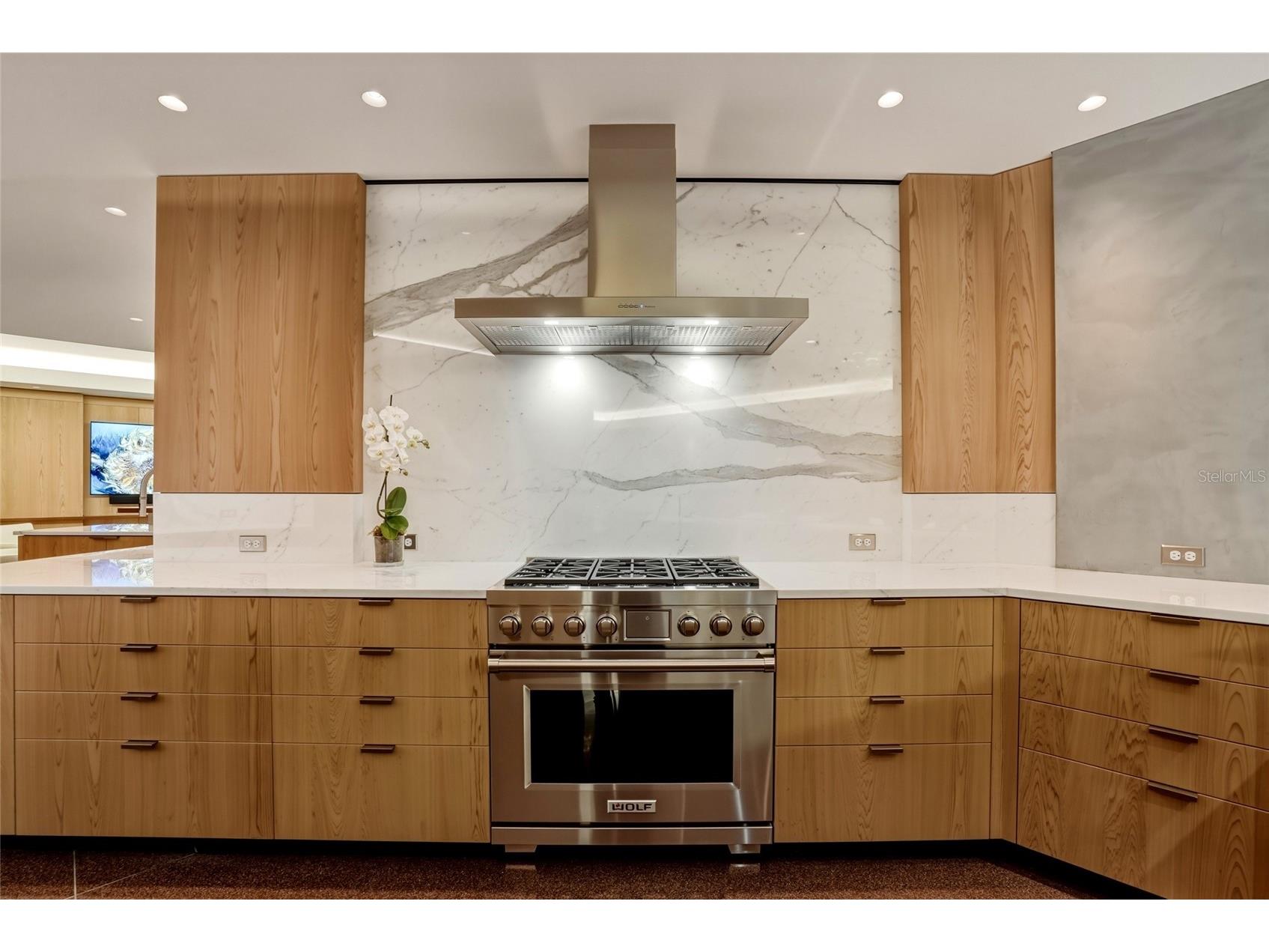 400 Beach Drive NE #2605 Saint Petersburg FL 33701 TB8502941 image14