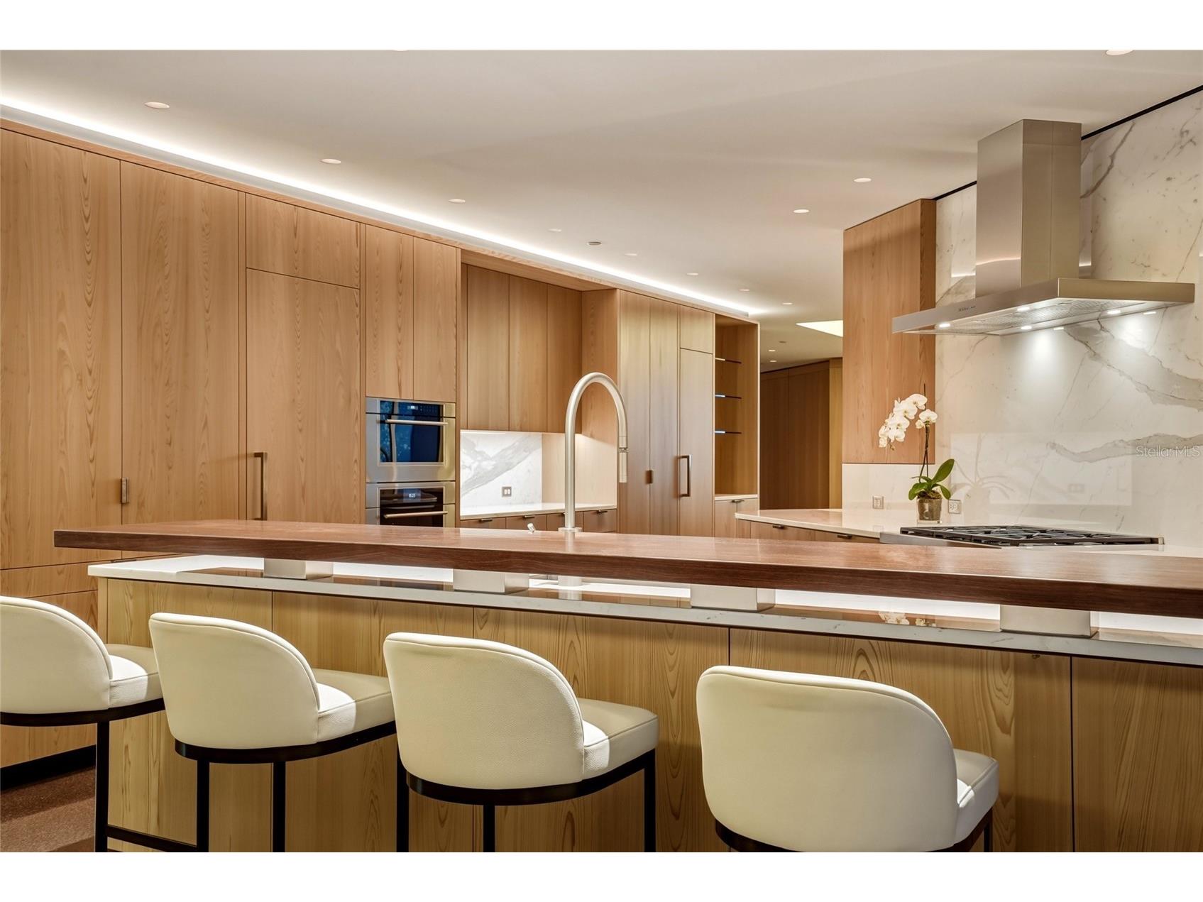 400 Beach Drive NE #2605 Saint Petersburg FL 33701 TB8502941 image15