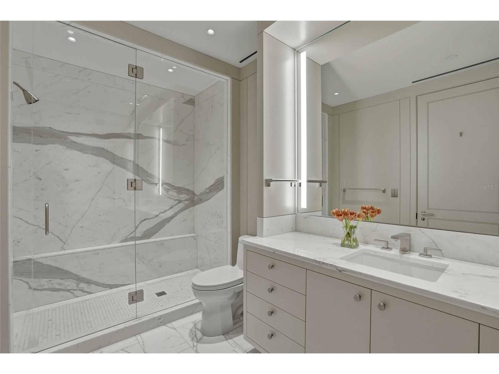 400 Beach Drive NE #2605 Saint Petersburg FL 33701 TB8502941 image31