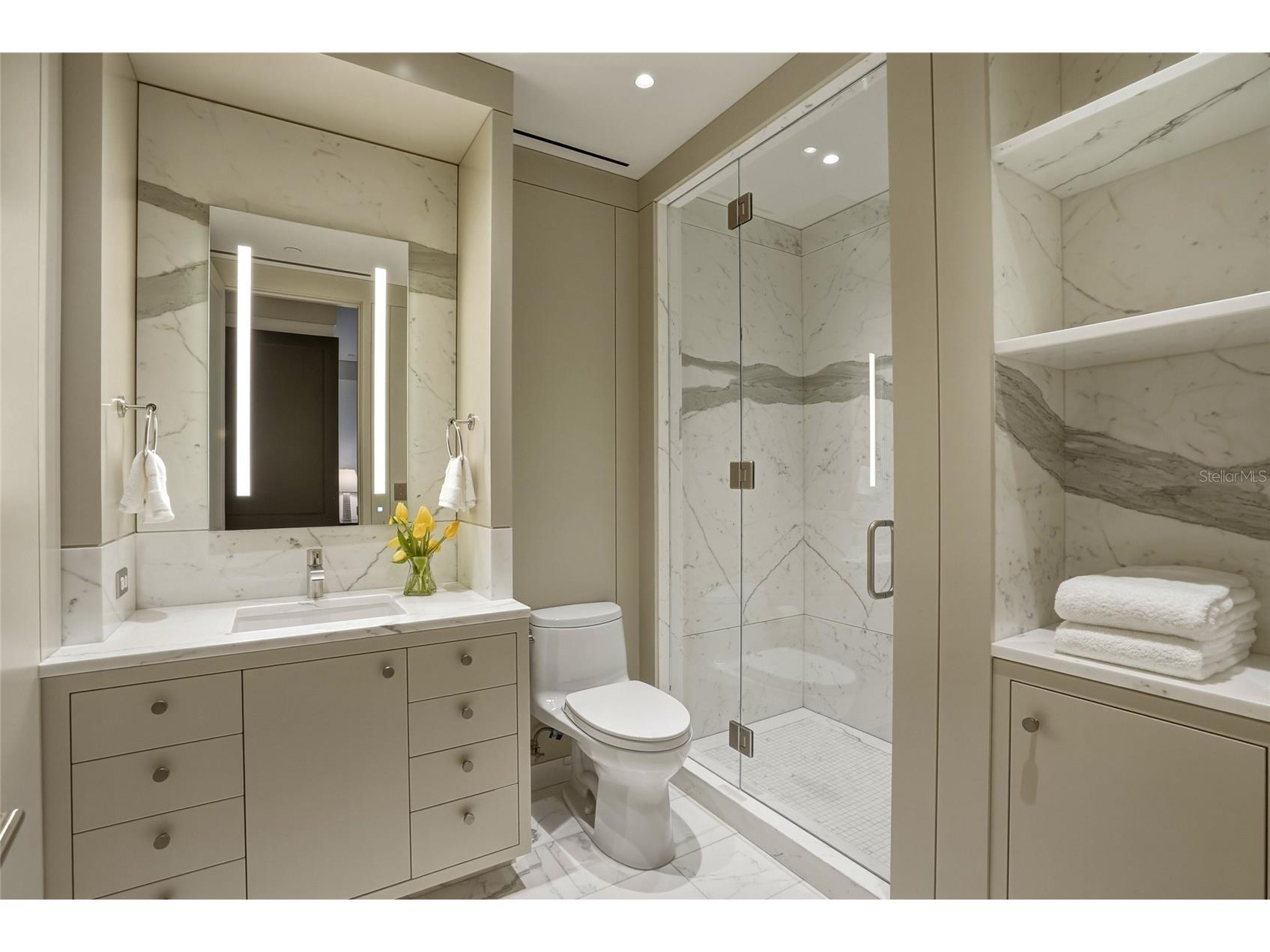 400 Beach Drive NE #2605 Saint Petersburg FL 33701 TB8502941 image33