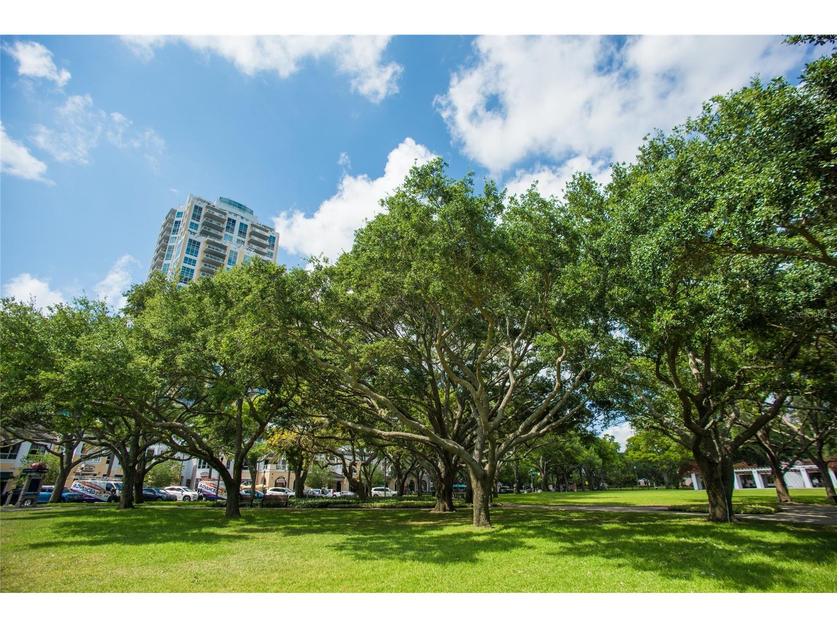 400 Beach Drive NE #2605 Saint Petersburg FL 33701 TB8502941 image50