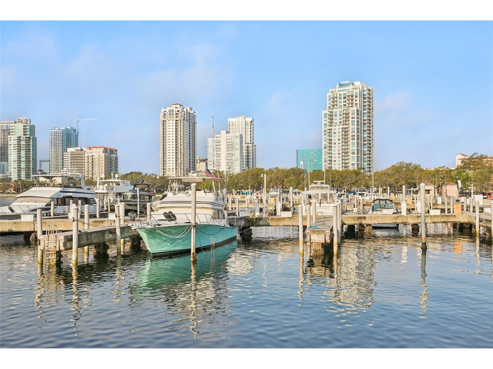 400 Beach Drive NE #401 Saint Petersburg FL 33701 TB8507214 image55