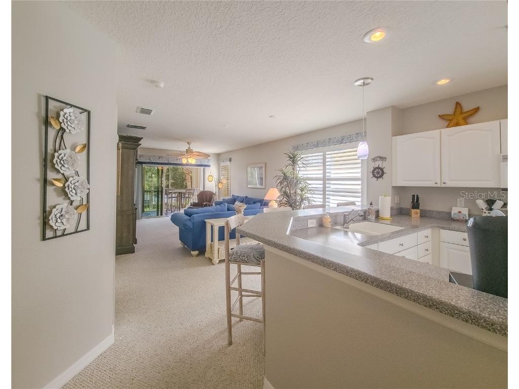 400 Canopy Walk Ln #425 Palm Coast FL 32137 FC308782 image9