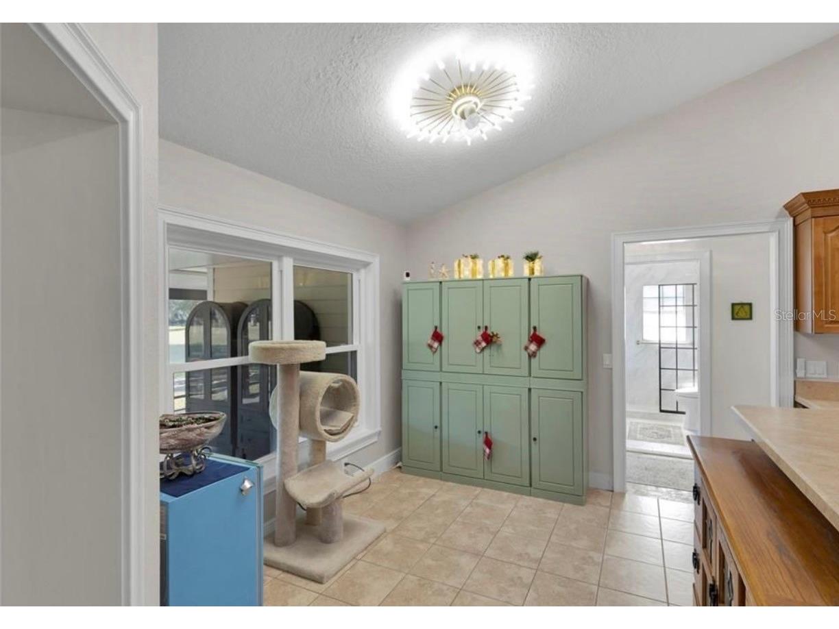 400 Carman Drive Leesburg FL 34748 - LAKE GRIFFIN G5107801 image15