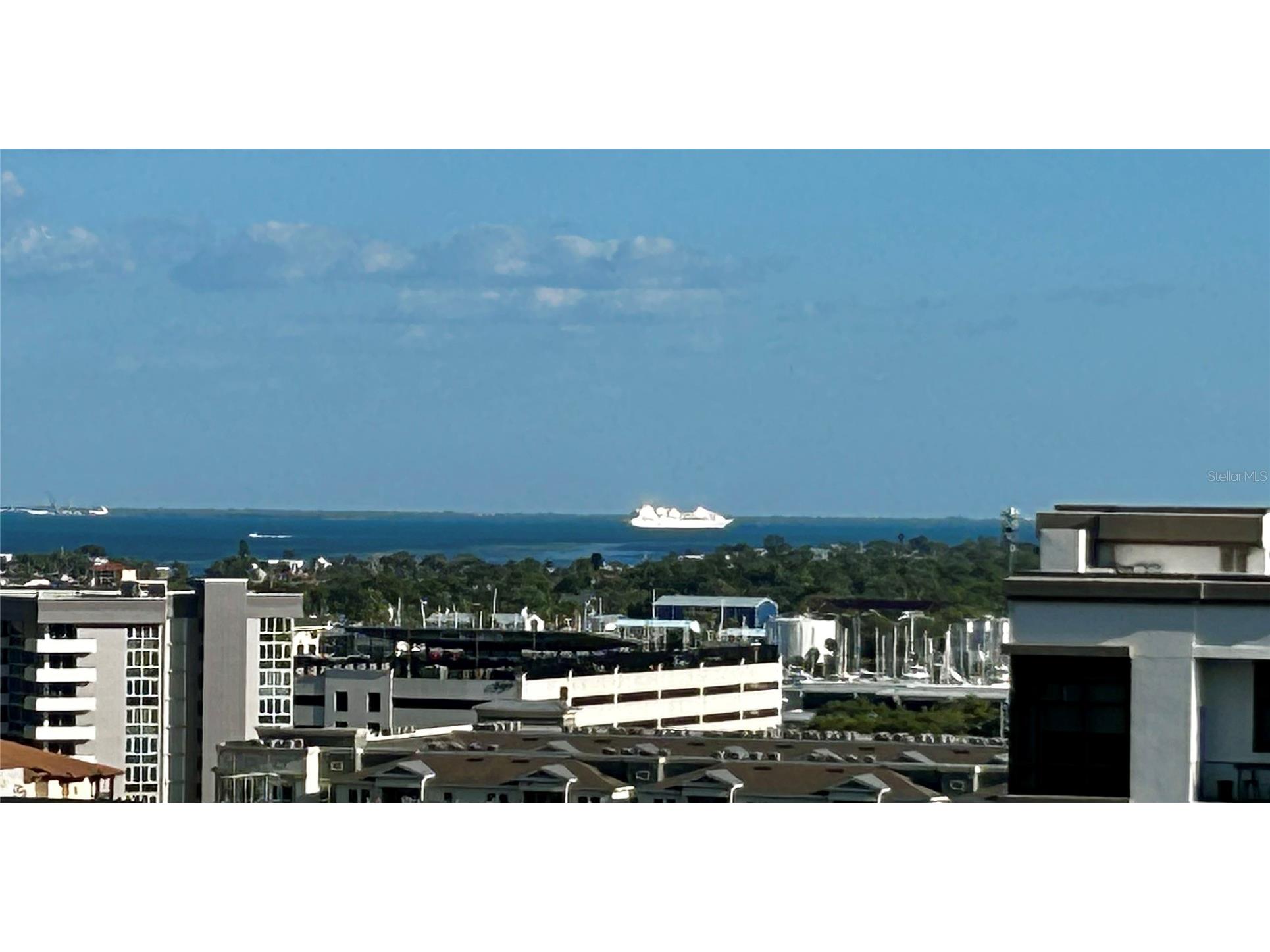 400 Central Avenue #1003 Saint Petersburg FL 33701 - TAMPA BAY TB8502577 image38