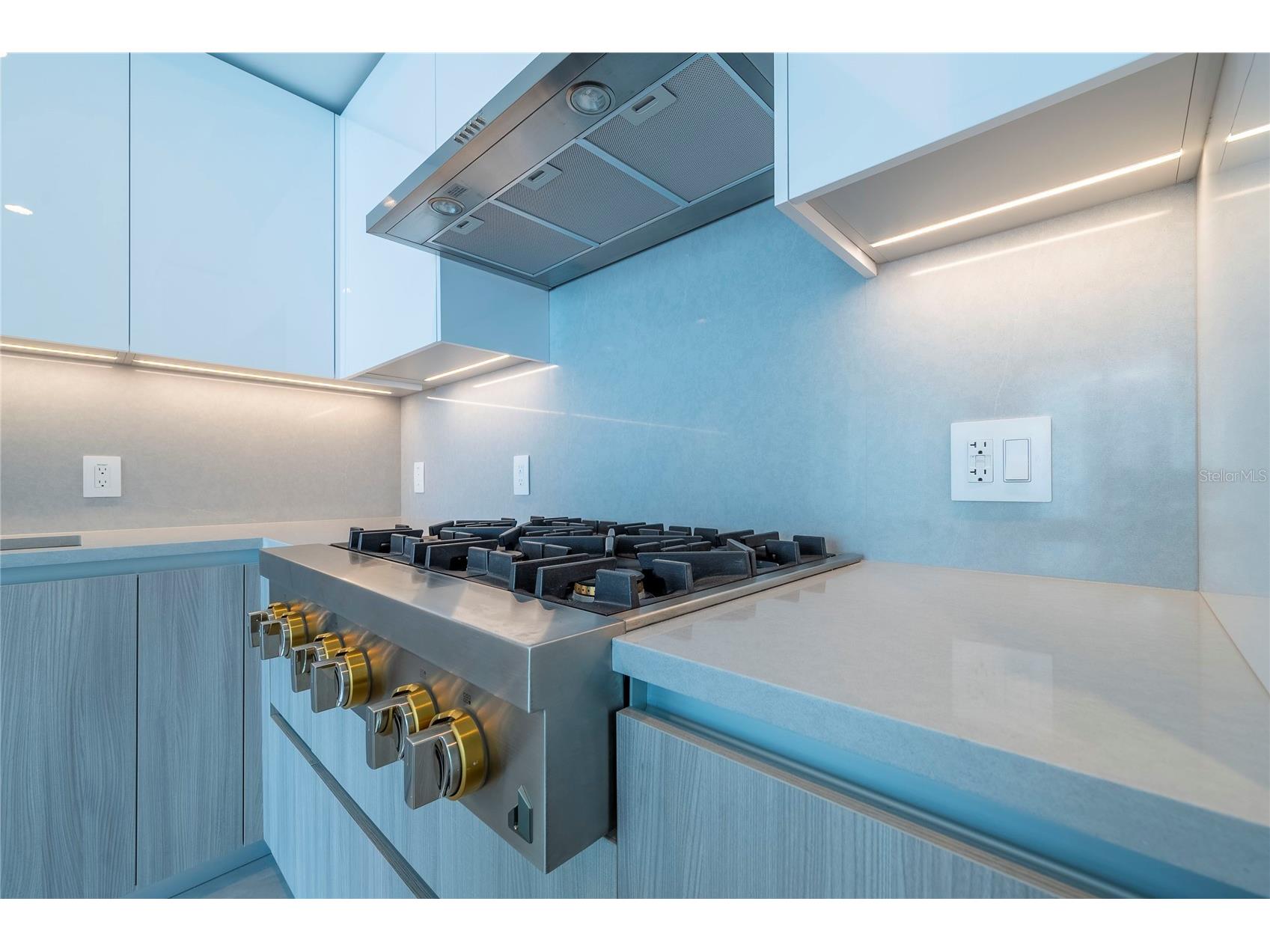 400 Central Avenue #1106 Saint Petersburg FL 33701 - Mirror Lake O6391965 image12