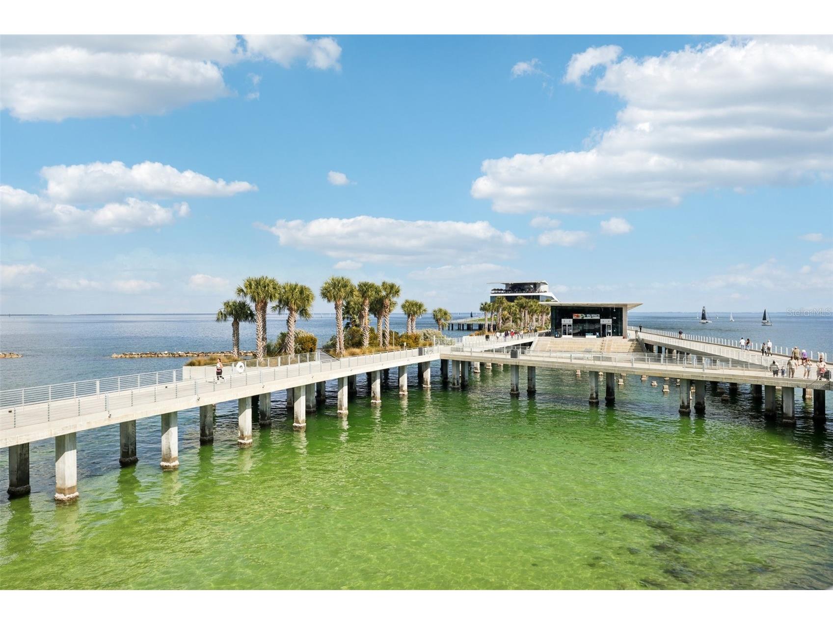 400 Central Avenue #1601 Saint Petersburg FL 33701 - TAMPA BAY MIRROR LAKE TB8515431 image50