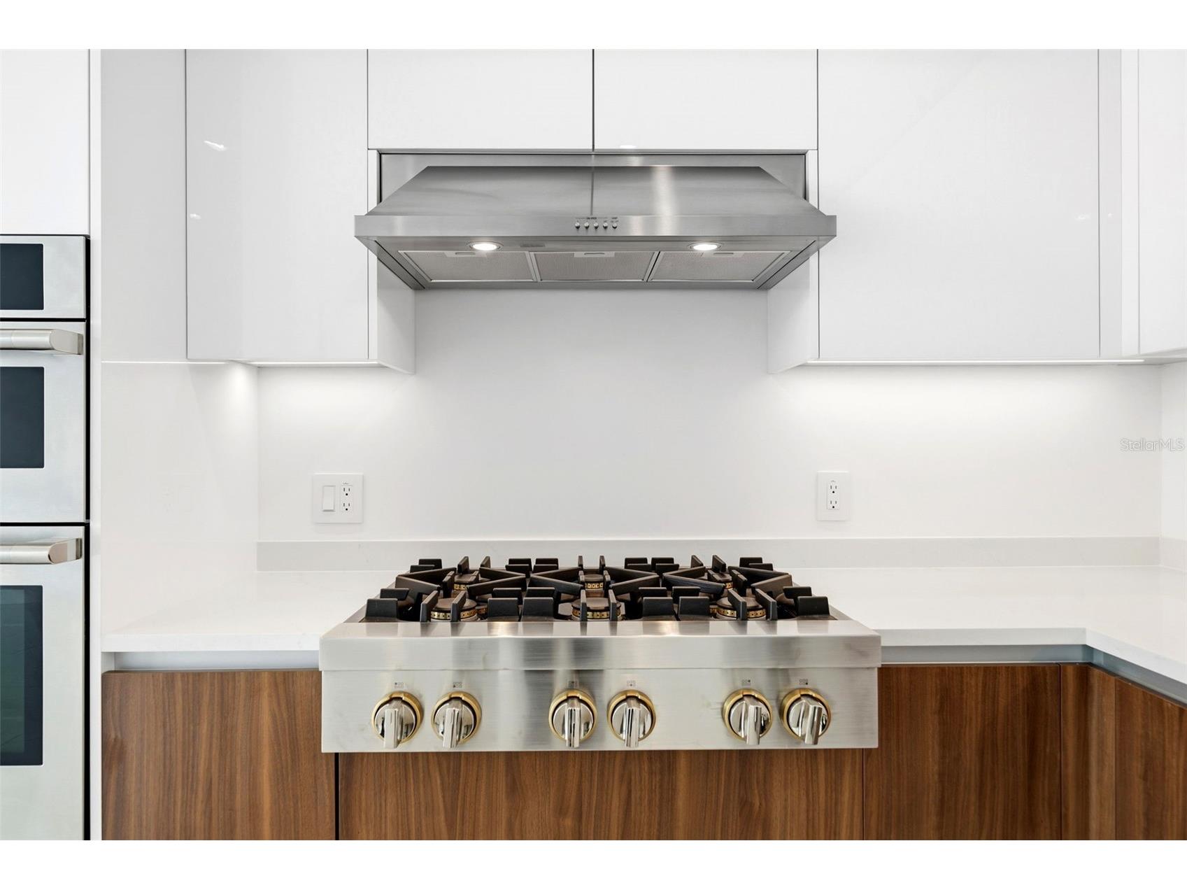 400 Central Avenue #1903 Saint Petersburg FL 33701 TB8497242 image24