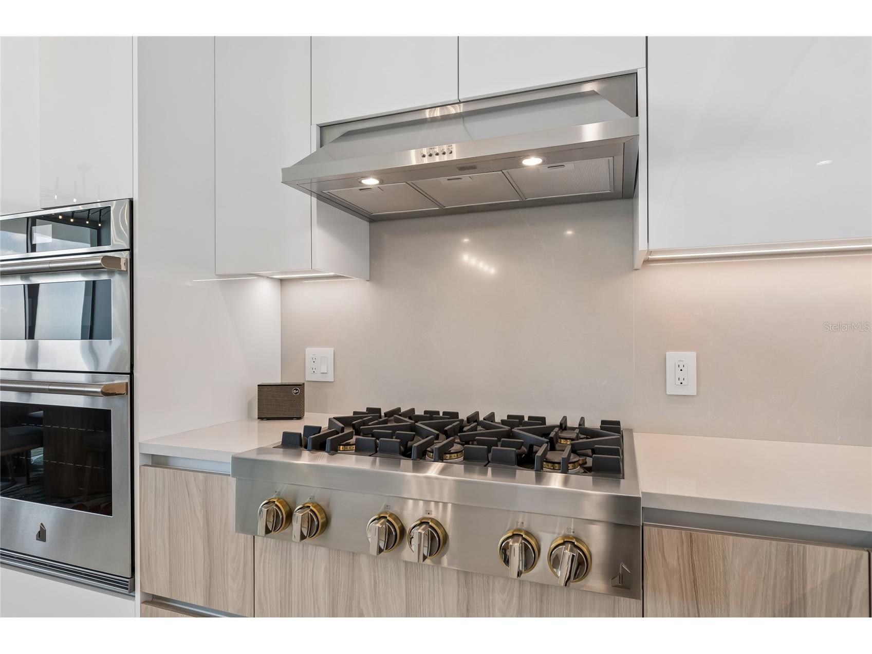 400 Central Avenue #2102 Saint Petersburg FL 33701 TB8486511 image21