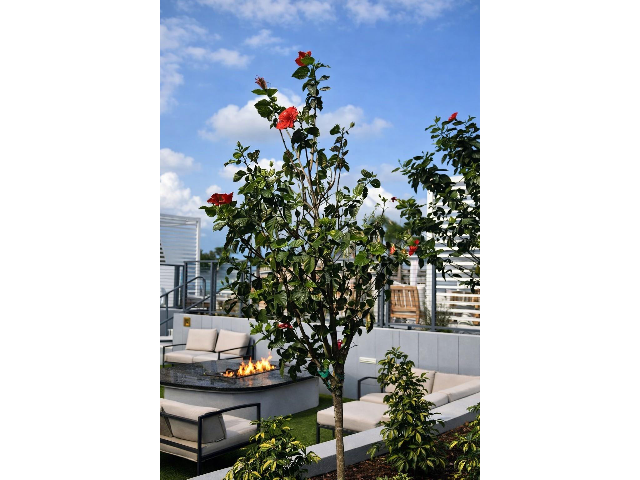 400 Central Avenue #2603 Saint Petersburg FL 33701 OM719590 image34