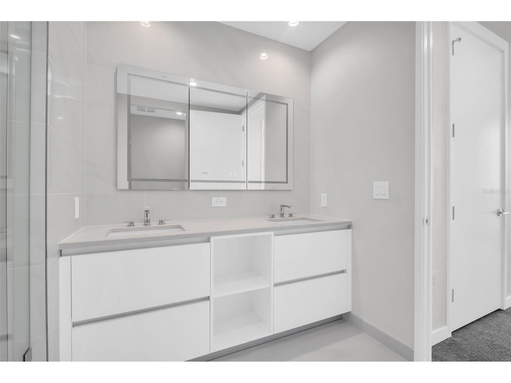 400 Central Avenue #3002 Saint Petersburg FL 33701 - MIRROR LAKE TAMPA BAY TB8504112 image31